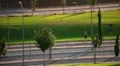 Jogging at park HD Footage