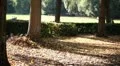 Jogging at park HD Footage