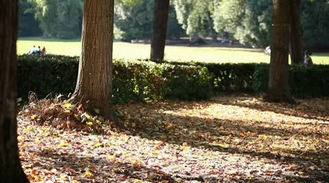 Jogging at park  Stock Footage 8923831