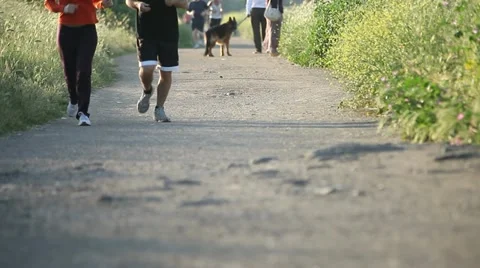 Jogging in the park Stock Footage 11132026