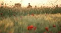 Jogging in the park HD Footage