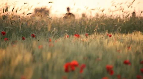 Jogging in the park Stock Footage 11135756
