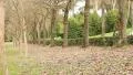 Jogging in the park HD Footage