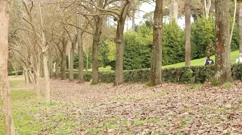 Jogging in the park Stock Footage 11674946