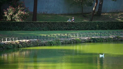 Jogging in the park Stock Footage 34038366
