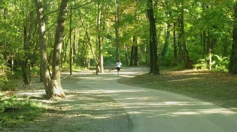 Jogging in the Park Stock Footage 43063961