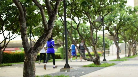 Jogging in the park Stock Footage 65450437