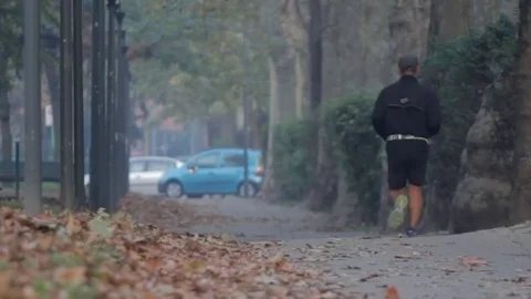 Jogging in the park Stock Footage 71231162