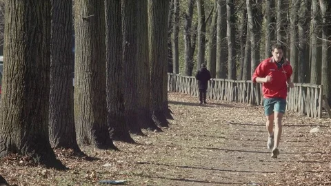 Jogging in the park Stock-Footage 82278529