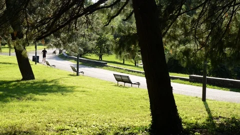Jogging in the park Stock Footage 91754281