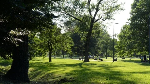 Jogging in the park Stock Footage 91754450