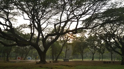 Jogging in park Stock Footage 101331263