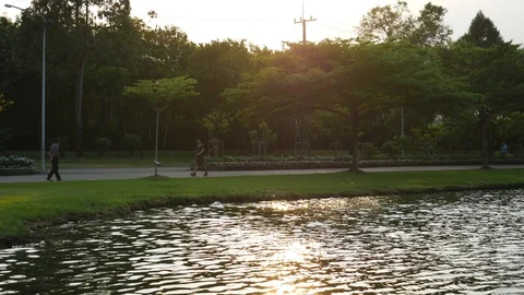 Jogging in park Stock Footage 103577442