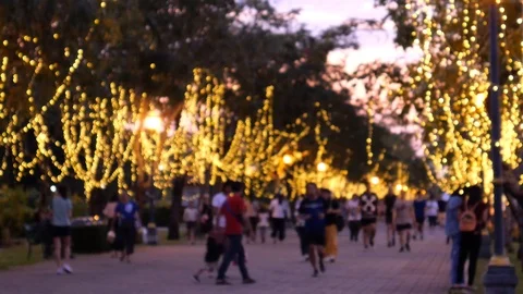 Jogging in park Stock-Footage 120822718