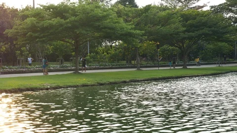 Jogging in park Stock Footage 122127730