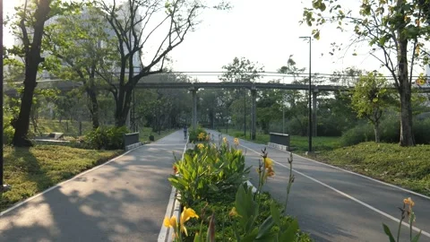 Jogging in park Stock Footage 278143840