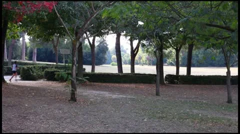 Jogging at park (pan shot) Stock Footage 8907988