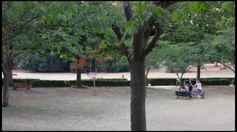 Jogging at park (pan shot) Stock Footage 8908029