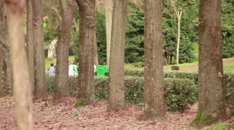 Jogging at park (pan shot) Stock Footage 36493063