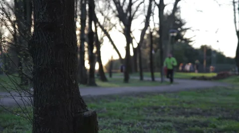 Jogging in the park at sunset out of focus Stock Footage 48912018
