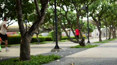 Jogging in the park V.2 Stock Footage 65763743