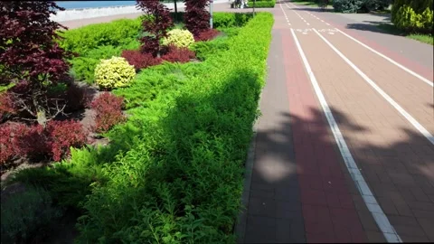 A jogging path in a city park. Daytime, bright colors. Healthy lifestyle. Stock Footage 336948606