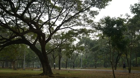 Jogging in a public park 動画素材 108503572