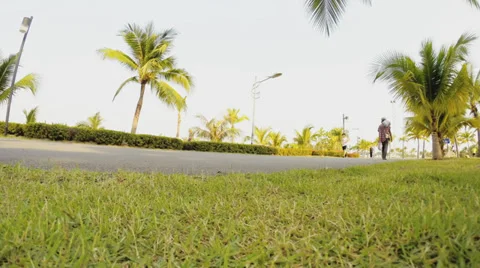 Jogging on Public park timelaps Stock Footage 36726339