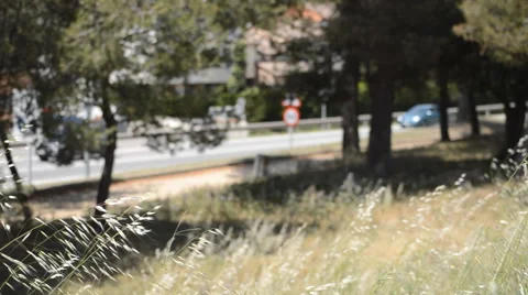 Jogging By The Road Behind Some Dry Grass Stock Footage 51754423
