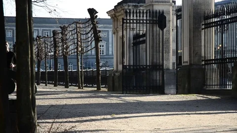 Jogging in the sun in the Royal park of Brussels Stock Footage 70693334