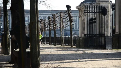 Jogging in the sun in the Royal park of Brussels Stock Footage 70693341