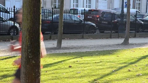 Jogging in the sun in the Royal park of Brussels Stock Footage 70693420