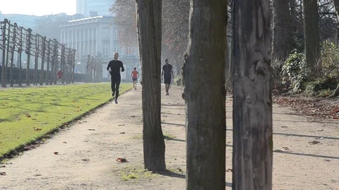 Jogging in the sun in the Royal park of Brussels Stock Footage 70693521