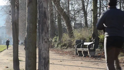 Jogging in the sun in the Royal park of Brussels Stock Footage 70694456