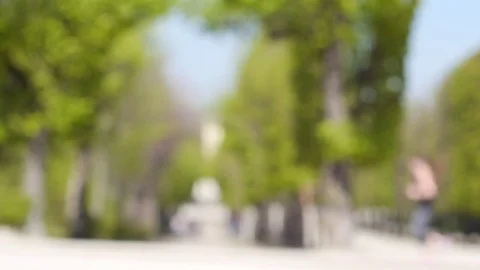 Jogging in a sunny park Stock Footage 74685032