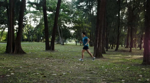 Jogging through trees with sun, flare Video stock 53081703