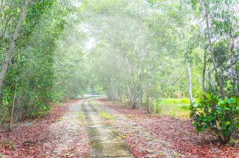 Jogging track Stock Photos