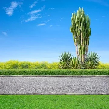 Jogging track Stock Photos