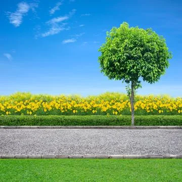 Jogging track Stock Photos