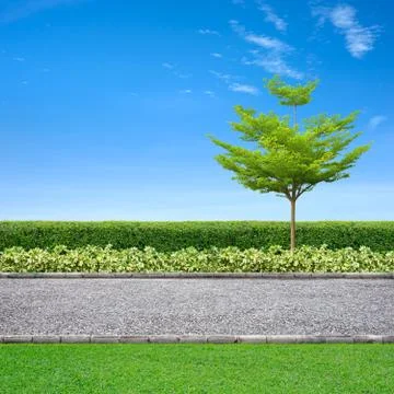 Jogging track Stock Photos