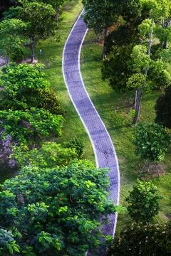 Jogging trail in the park. Fotos Stock