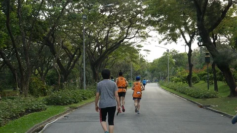 Jogging trees park Stock-Footage 105509475
