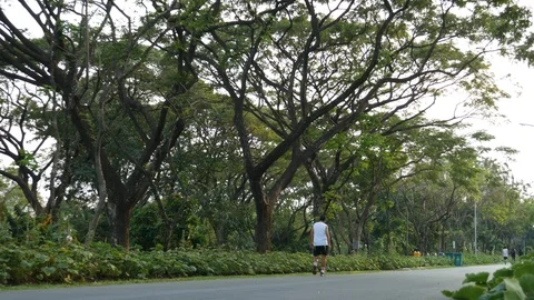 Jogging trees park 動画素材 105509619