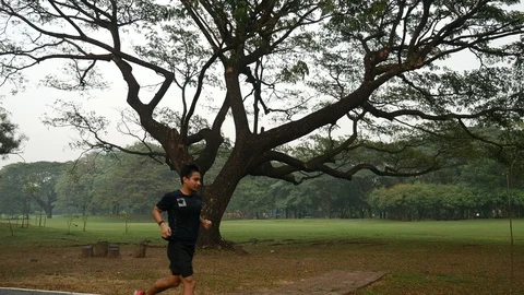 Jogging under trees Stock Footage 108584588