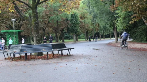 Jogging vondelpark 1 스톡 동영상 315899179