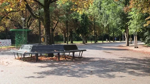 Jogging vondelpark 2 스톡 동영상 315973090