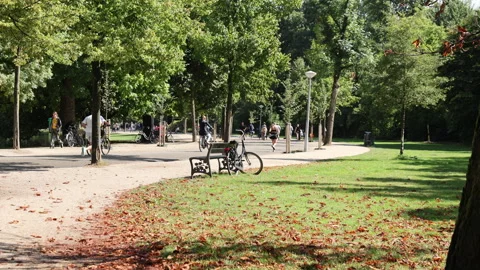 Jogging vondelpark 3 스톡 동영상 315899421