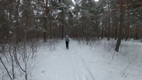 Jogging in the winter forest. Stock-Footage 142609322