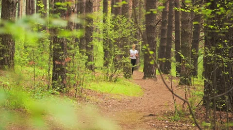 Jogging in wood Video stock 27909373
