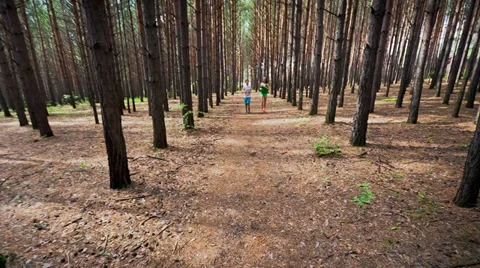 Jogging in wood Video stock 35274993